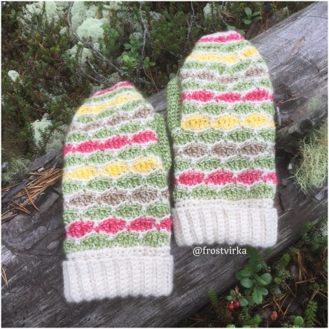 20170924_123647337_iOS